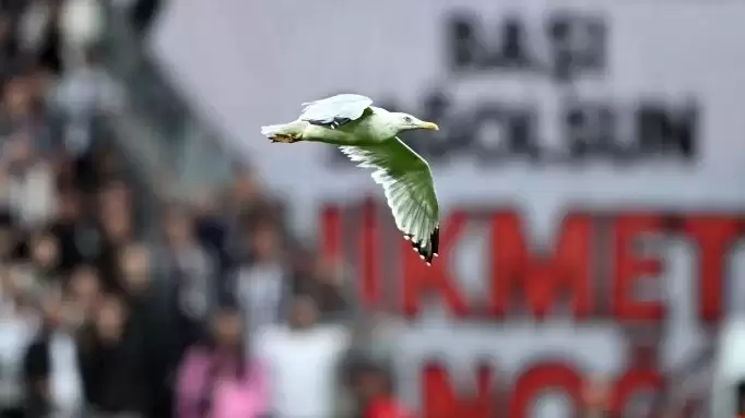 Tüpraş Stadyumu’nda martı indi! Süleyman Seba akıllara geldi…