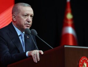 Cumhurbaşkanı Erdoğan, Avrupa şampiyonu milli boksör Havvanur Kethüda'yı tebrik etti