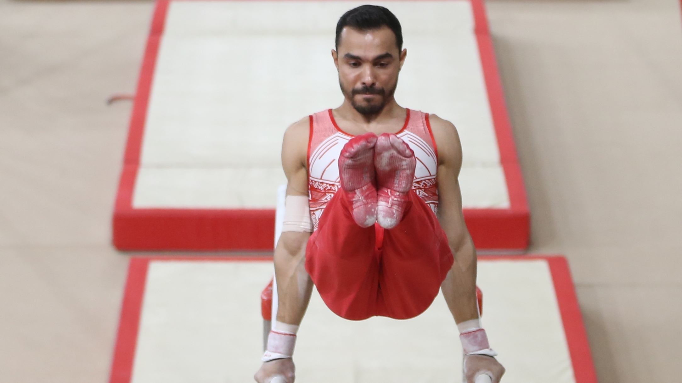 Ferhat Arıcan, Fransa'da altın madalya kazandı