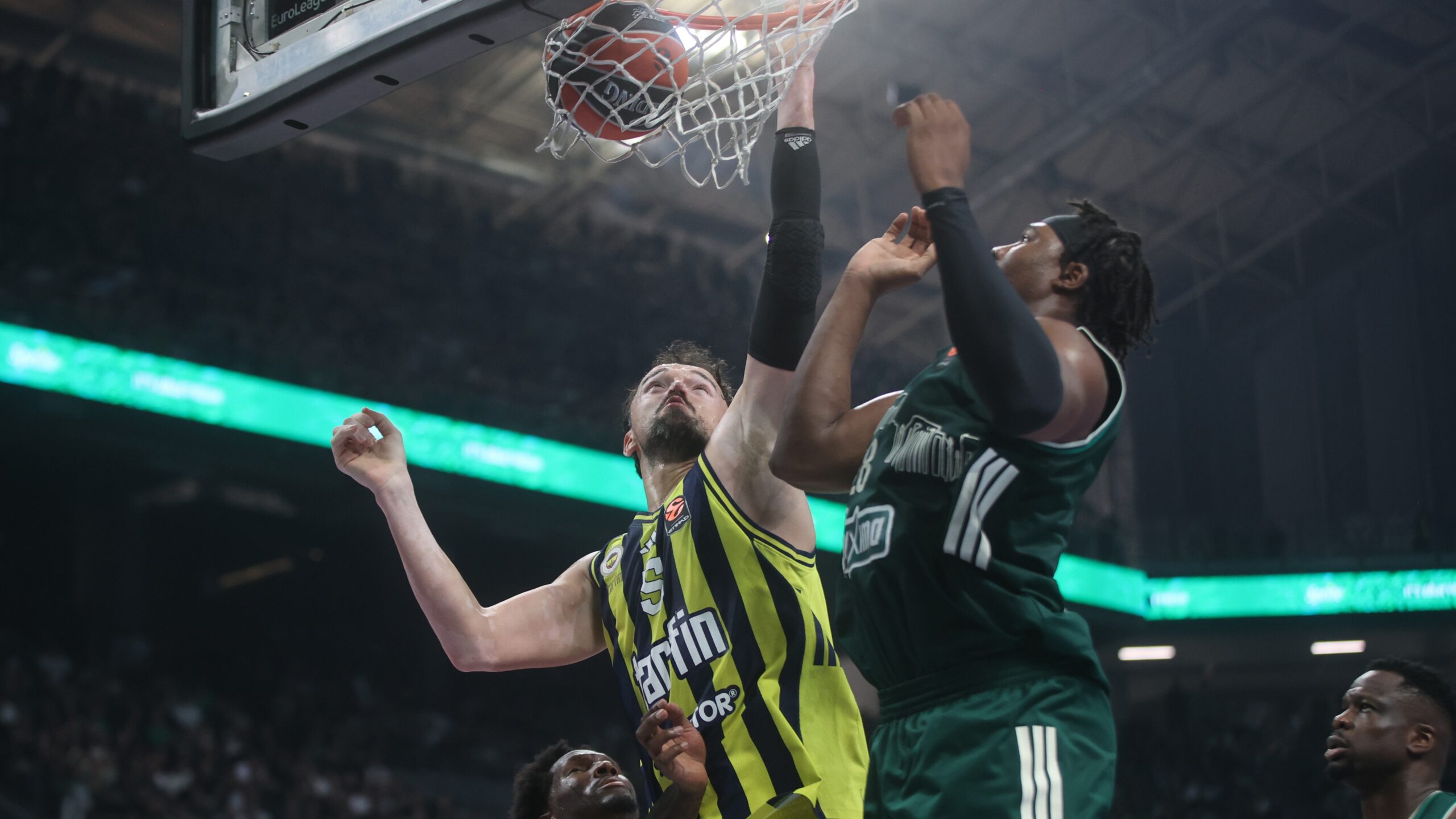 Fenerbahçe Tarfin, Panathinaikos'a mağlup
