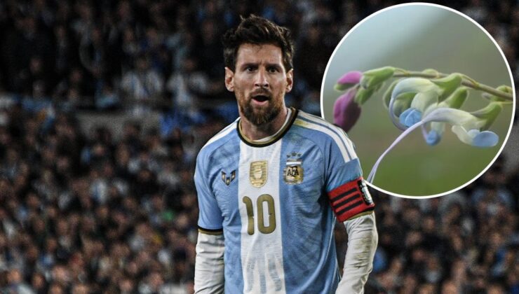 Messi’nin adı artık And Dağları'nda yaşayacak!