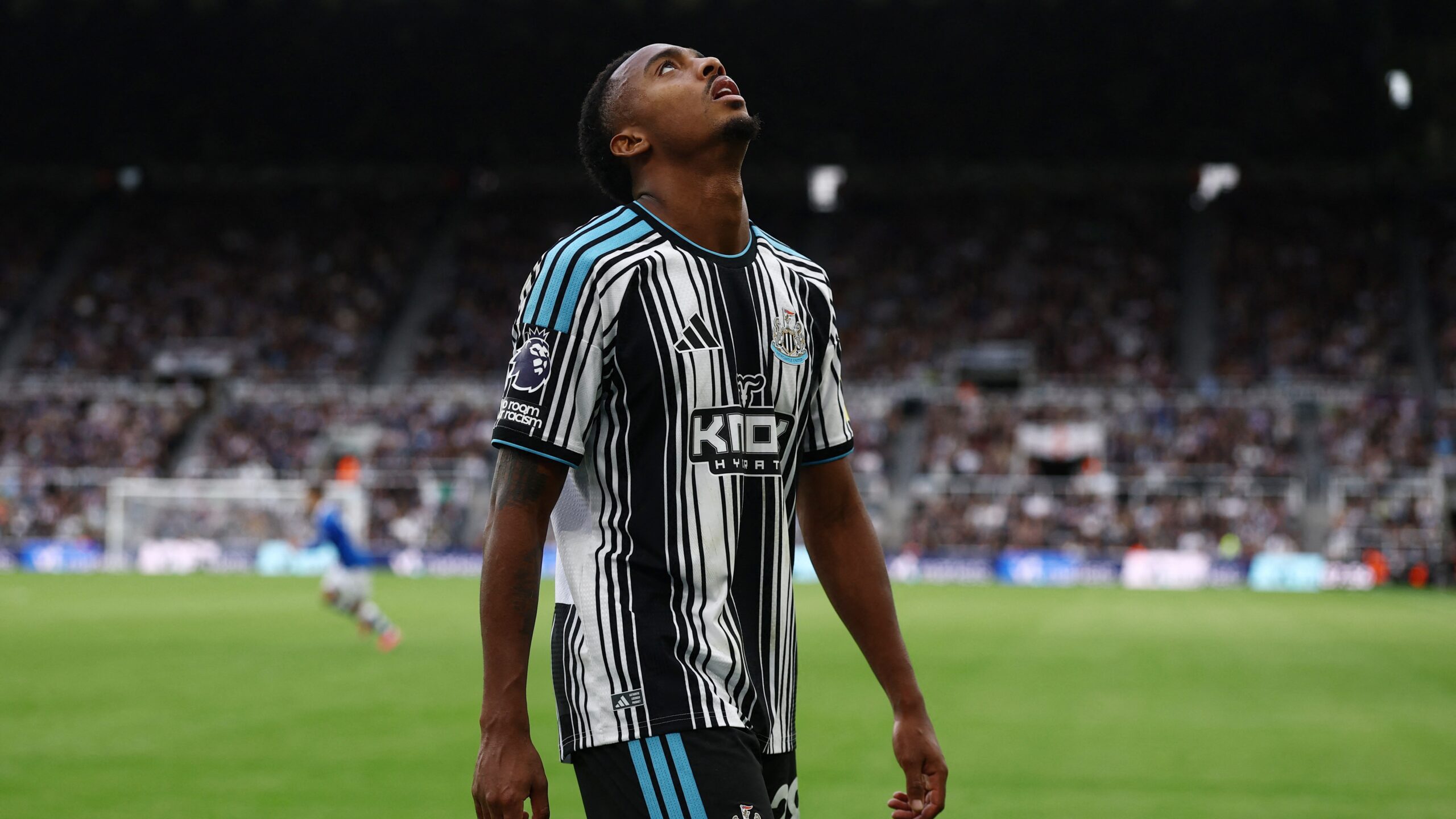Newcastle United'da Willock gelişmesi